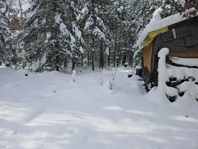 $39,900 | 7106 North M-37, Irons, MI 49644