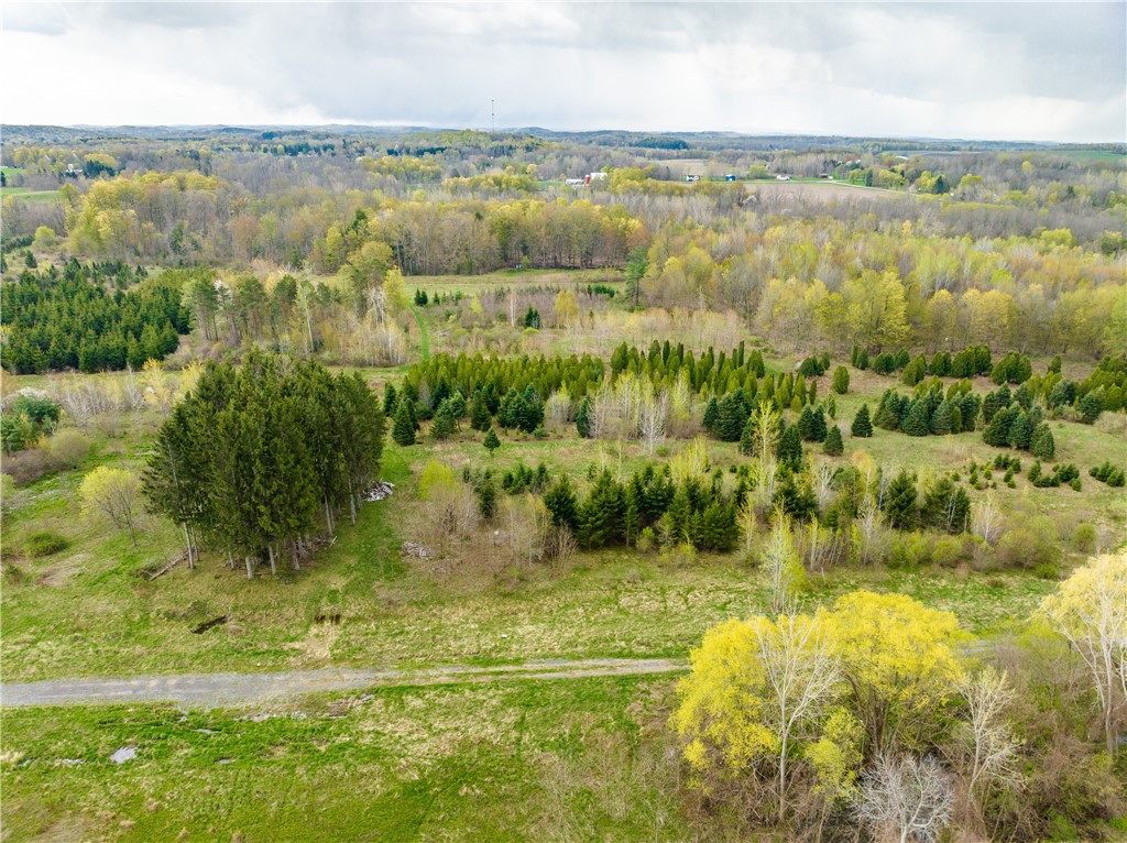4667 Eddy Ridge Road Marion, NY 14505 - Photo 1 of 1