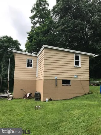 a view of a backyard with plants and a large tree