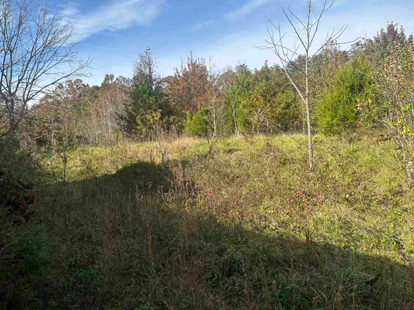 $1,750,000 | 1948 Fews Chapel Road, Greer, SC 29651
