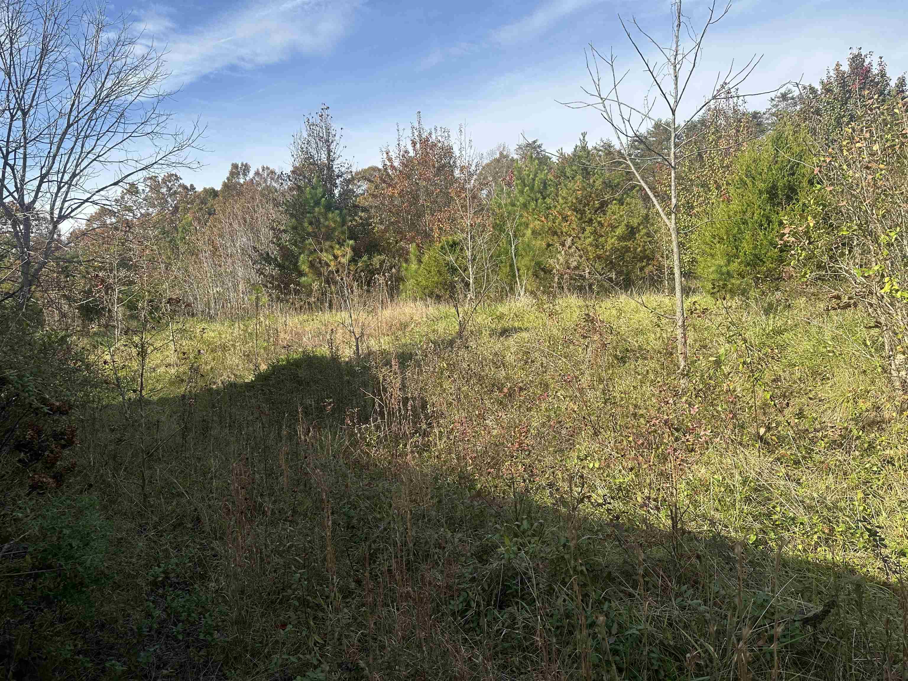 1948 Fews Chapel Road Greer, SC 29651 - Photo 3 of 13