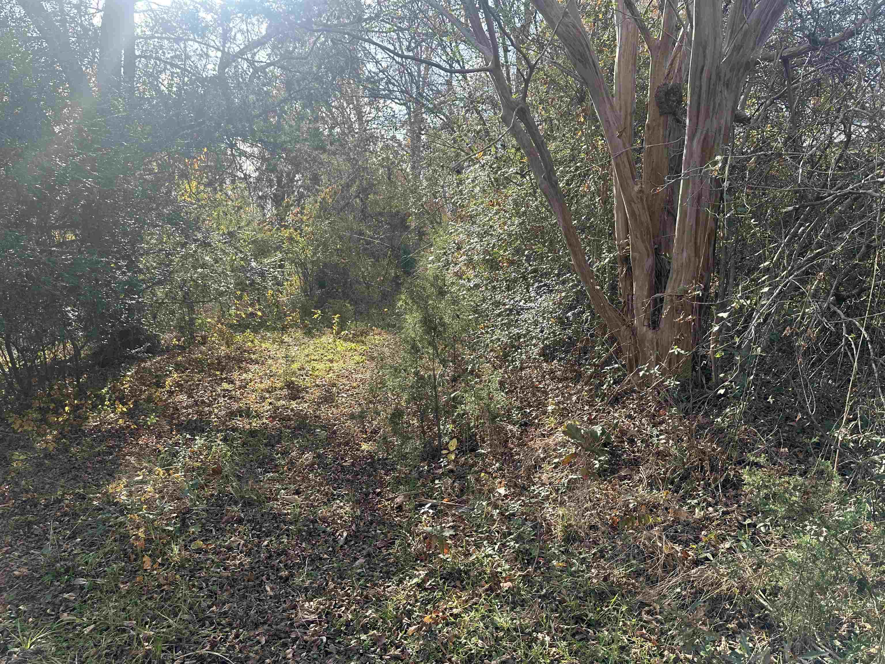 1948 Fews Chapel Road Greer, SC 29651 - Photo 4 of 13