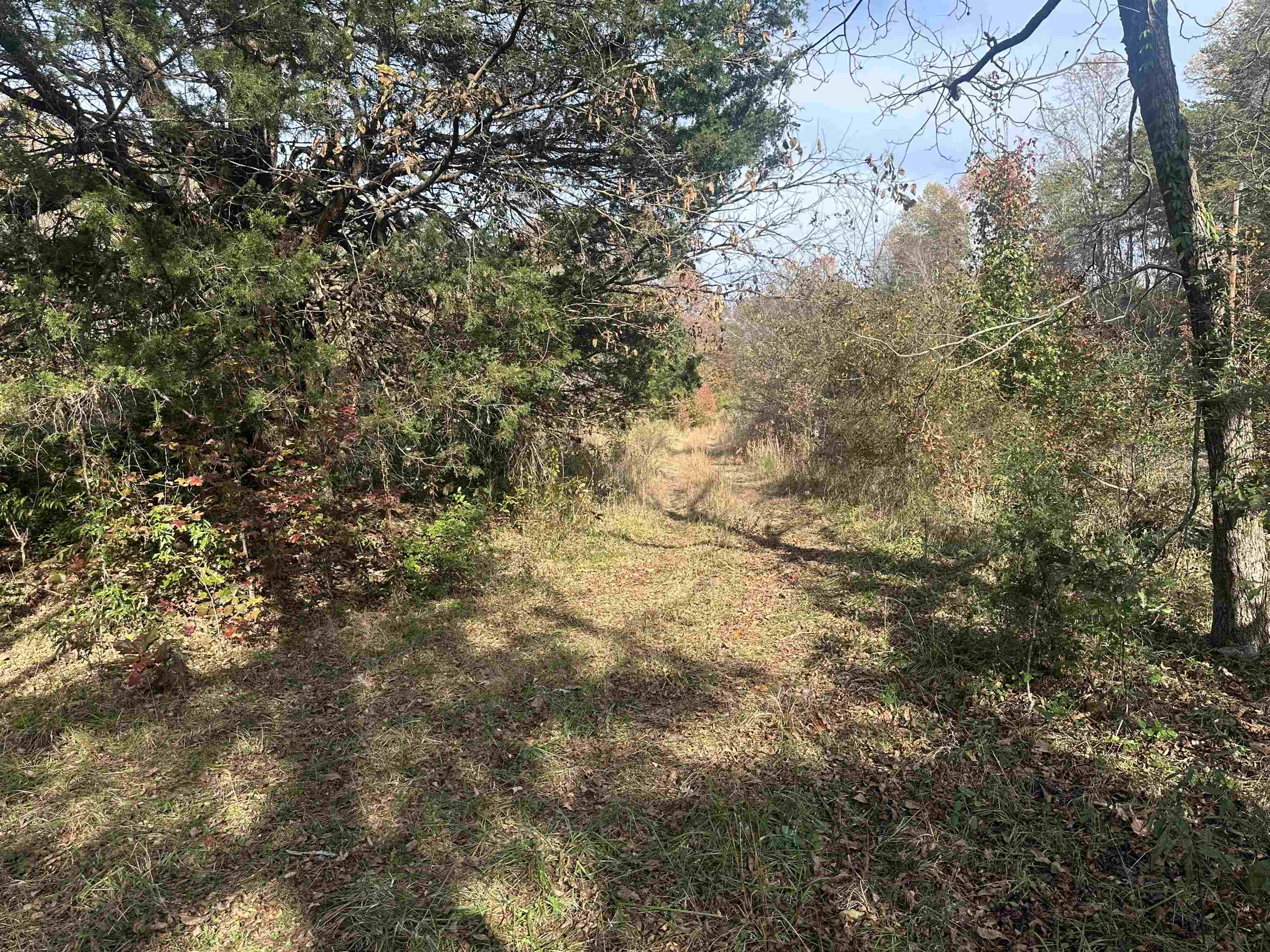 1948 Fews Chapel Road Greer, SC 29651 - Photo 5 of 13