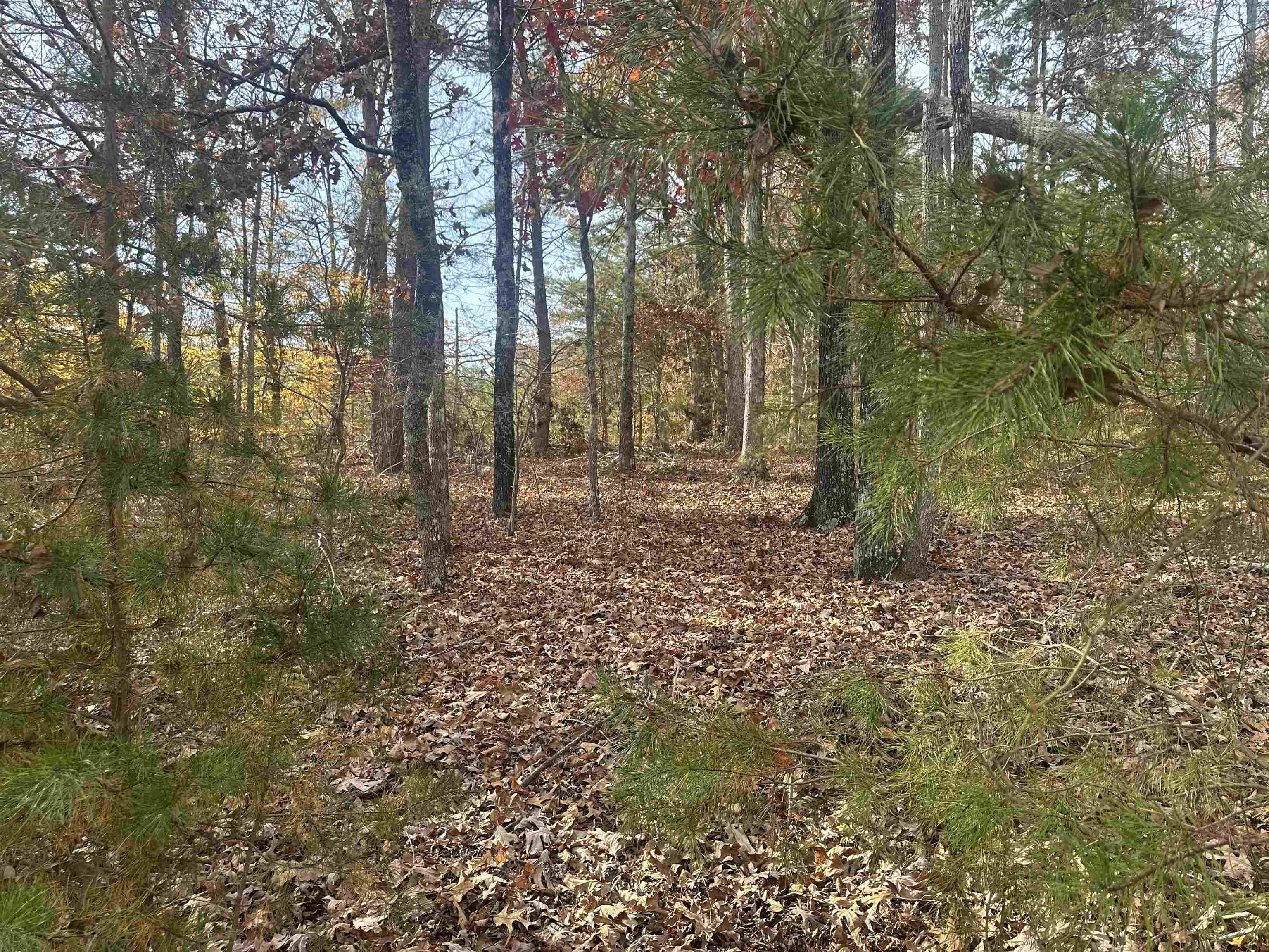 1948 Fews Chapel Road Greer, SC 29651 - Photo 6 of 13