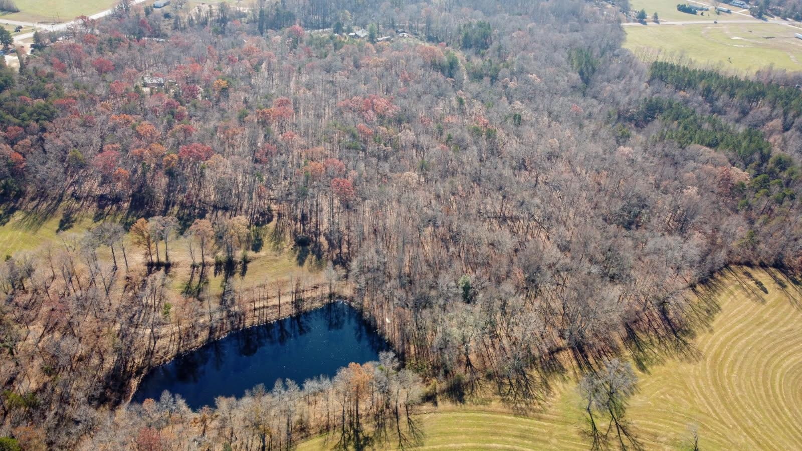 1948 Fews Chapel Road Greer, SC 29651 - Photo 8 of 13