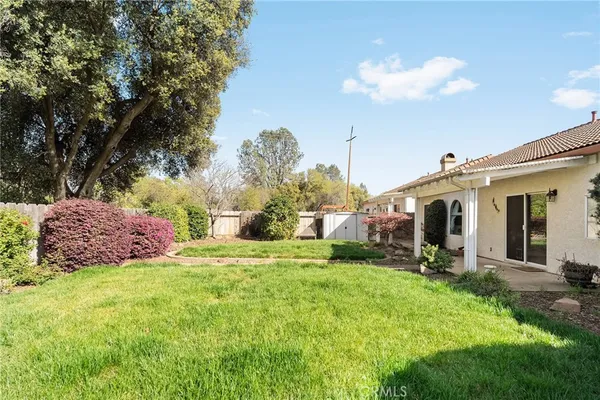 a view of a garden with plants