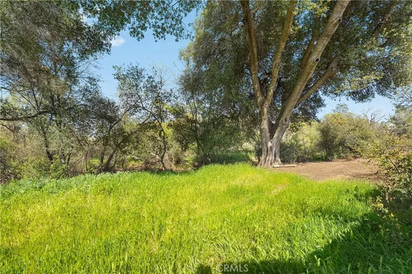a view of a lake with lots of trees