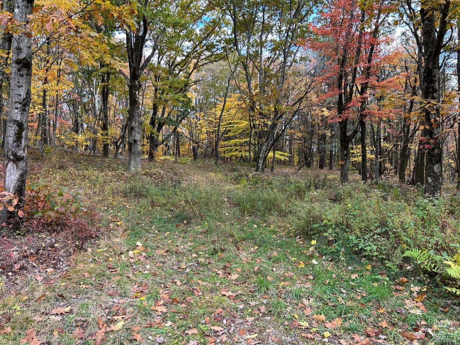 1 West Hill Road Hillsdale, NY 12529 - Photo 2 of 16 a view of forest