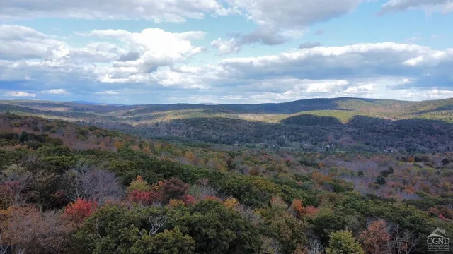 a view of a house with a forest