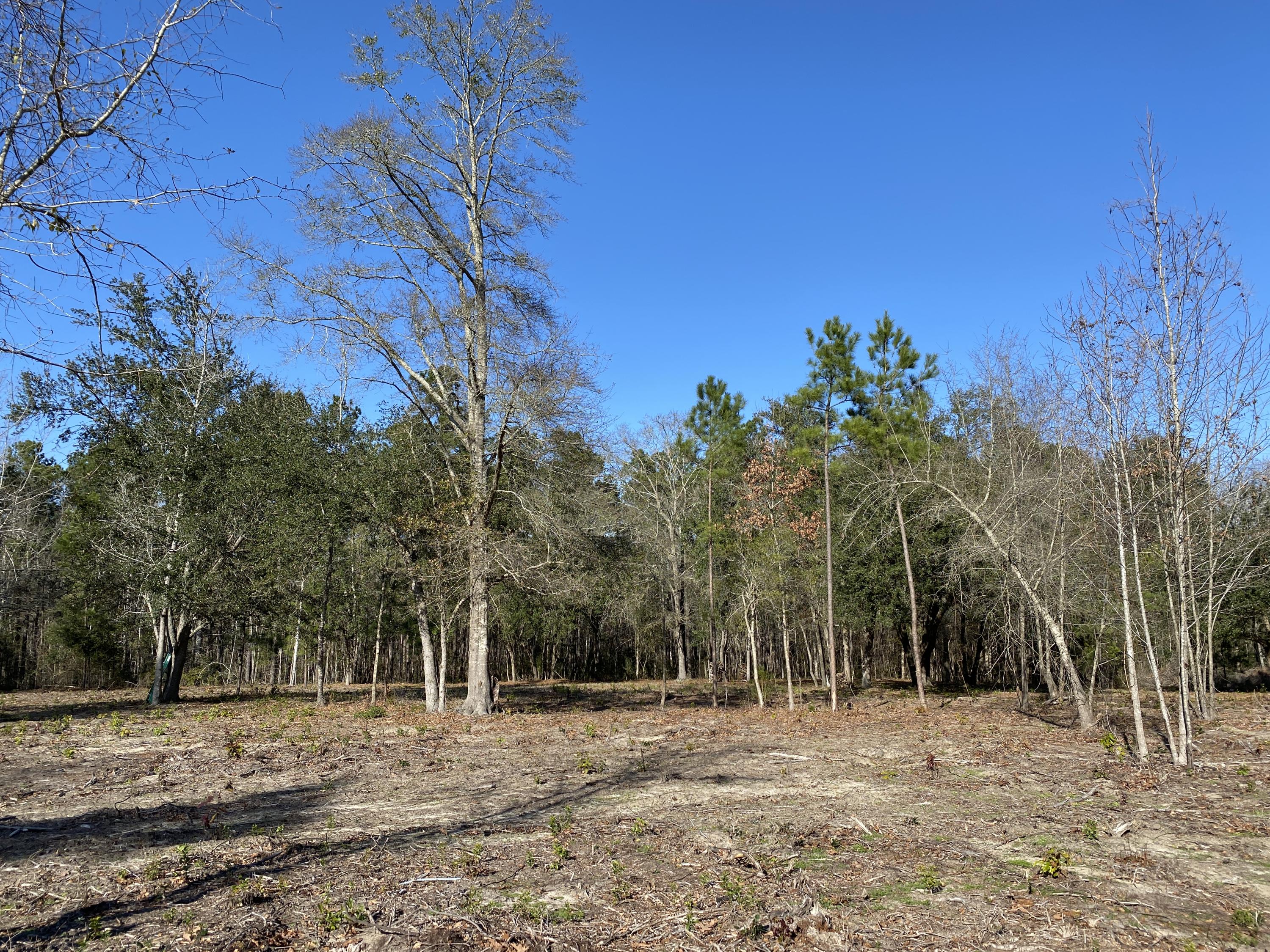 0 Power House Road, Unit LOT 2 Moncks Corner, SC 29461 - Photo 8 of 16 Photo - 3