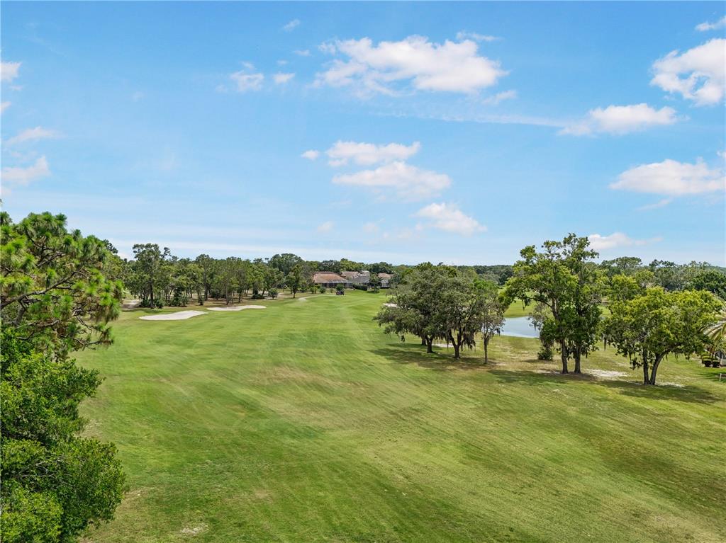 9143 Players Drive Weeki Wachee, FL 34613 - Photo 31 of 44