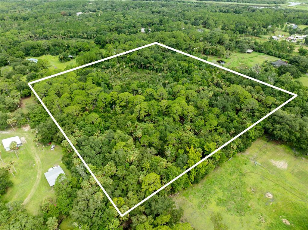 2750 Perch Road Geneva, FL 32732 - Photo 4 of 16