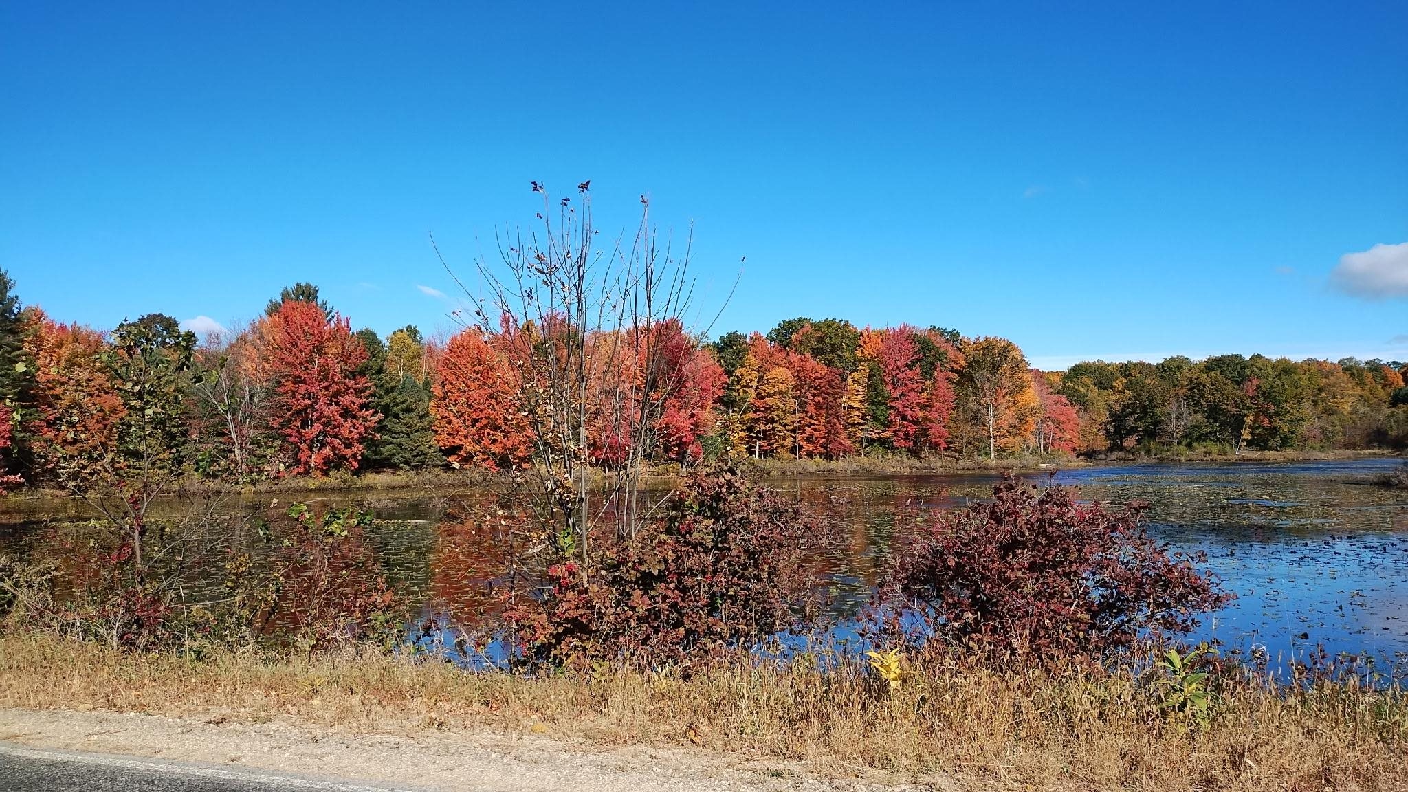 4450 Adams Road Lake, MI 48632 - Photo 63 of 63