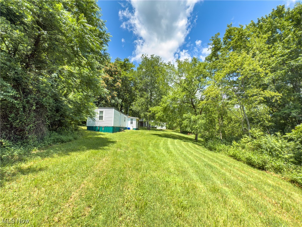 36475 Kinney Ridge Road Woodsfield, OH 43793 - Photo 30 of 50 View of grassy yard with a forest view