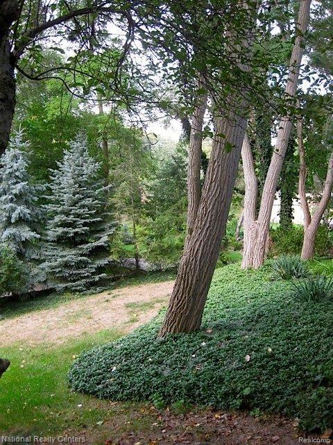 1830 Carter Road Rochester, MI 48306 - Photo 24 of 24 IMG_0091.jpg