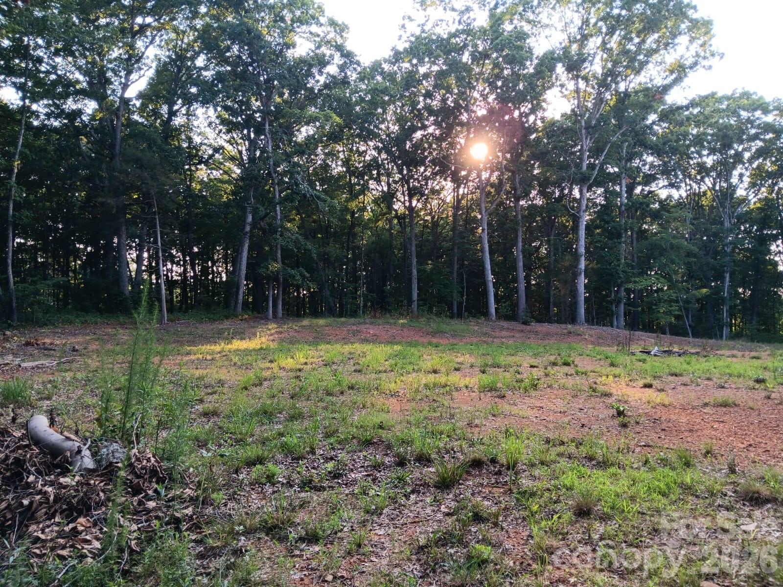 11610 Brief Road, Unit 2 Charlotte, NC 28227 - Photo 14 of 16 a backyard of a house with lots of green space