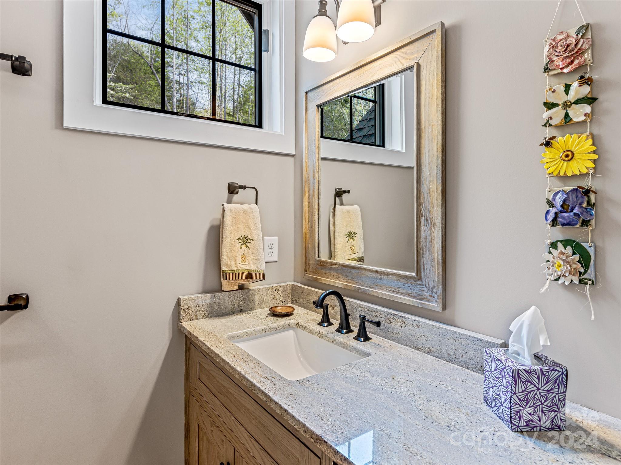 2138 Lake Adger Parkway Mill Spring, NC 28756 - Photo 33 of 44