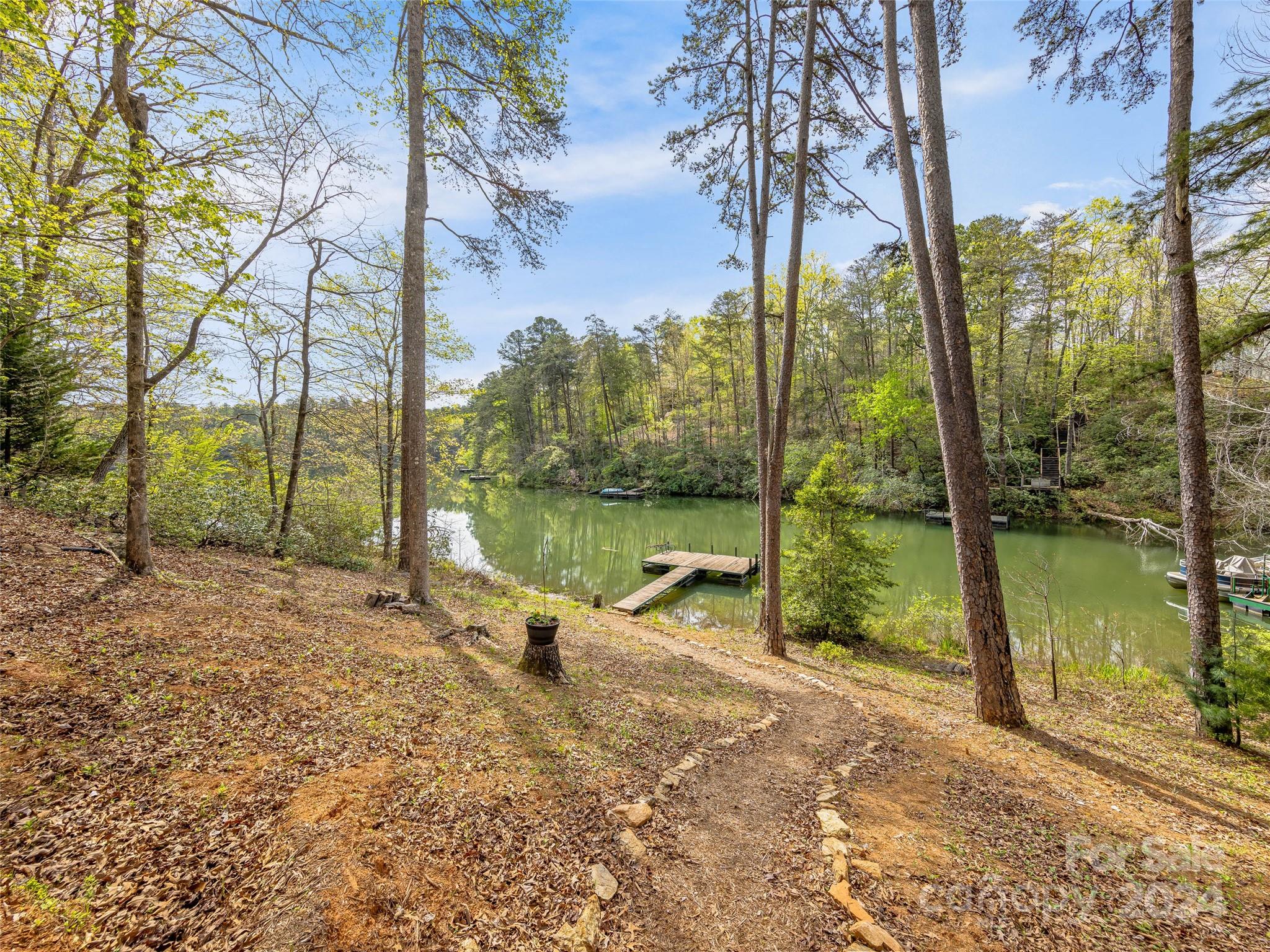 2138 Lake Adger Parkway Mill Spring, NC 28756 - Photo 40 of 44