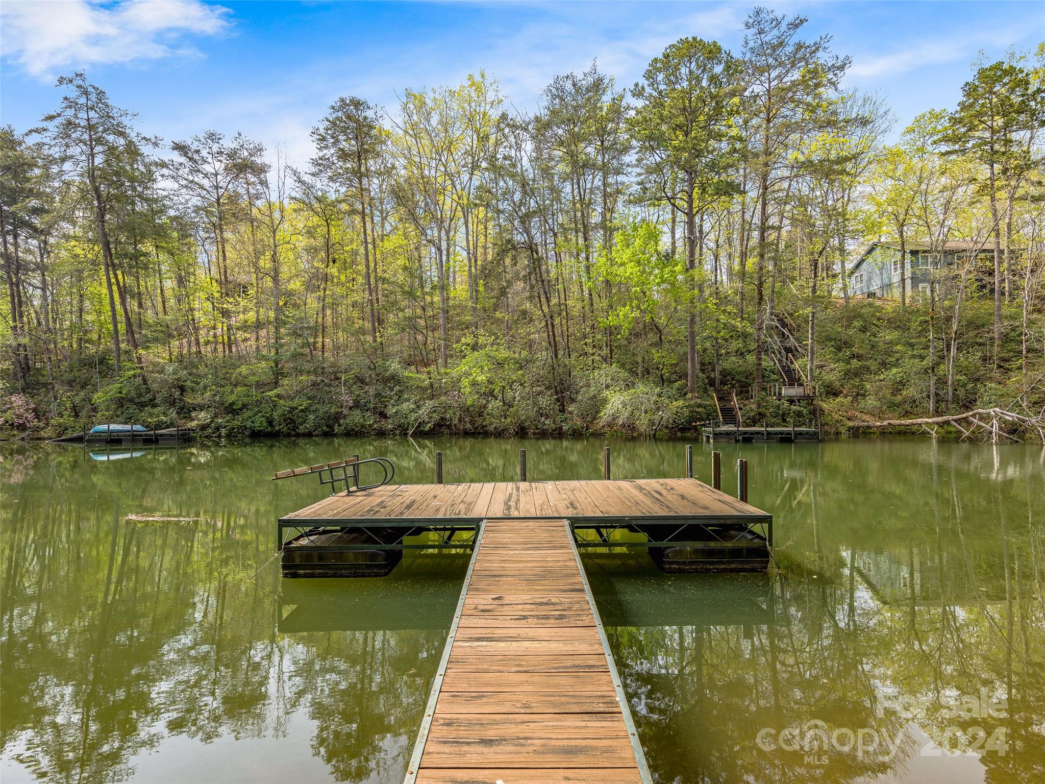 2138 Lake Adger Parkway Mill Spring, NC 28756 - Photo 41 of 44