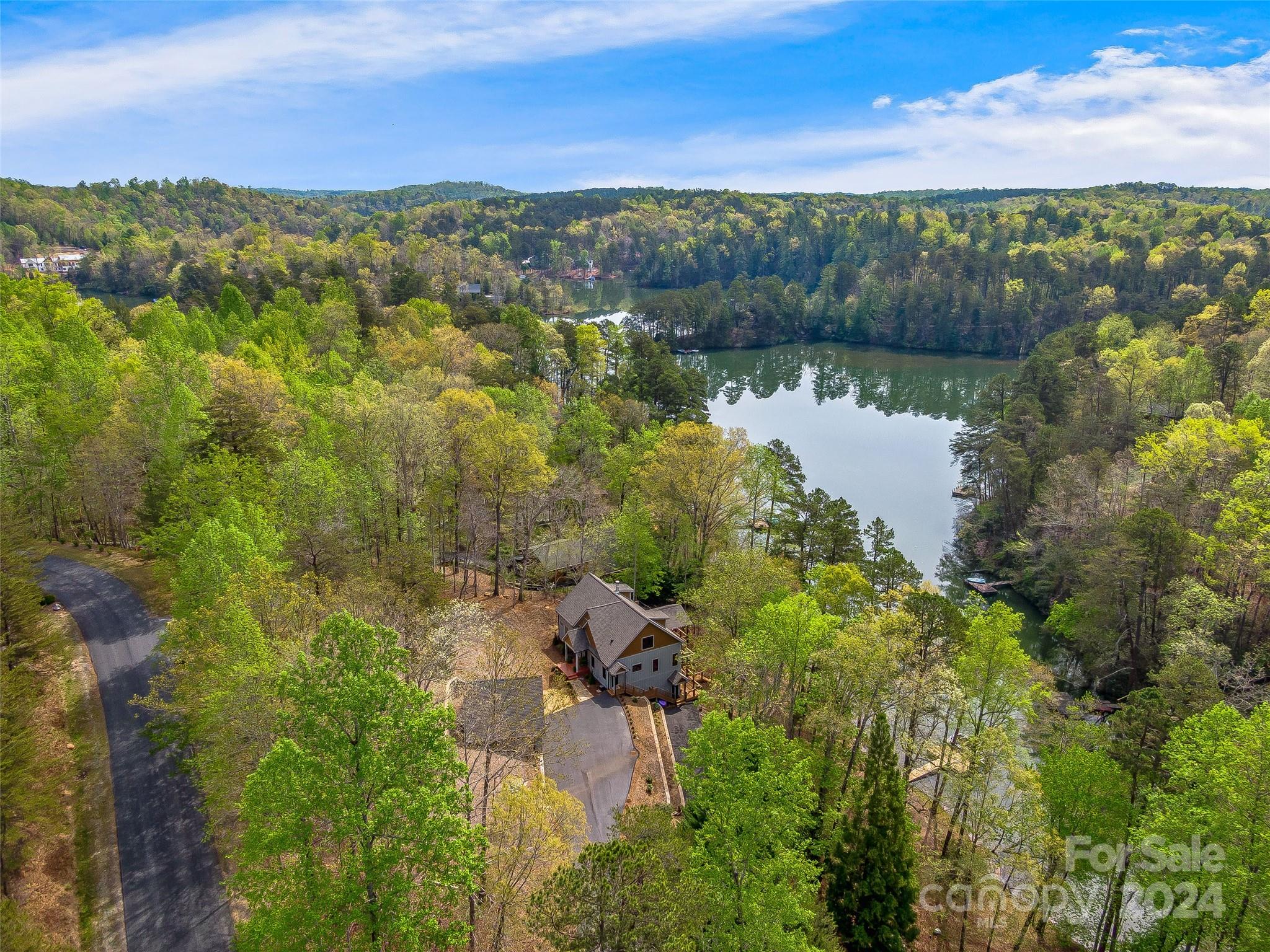2138 Lake Adger Parkway Mill Spring, NC 28756 - Photo 7 of 44