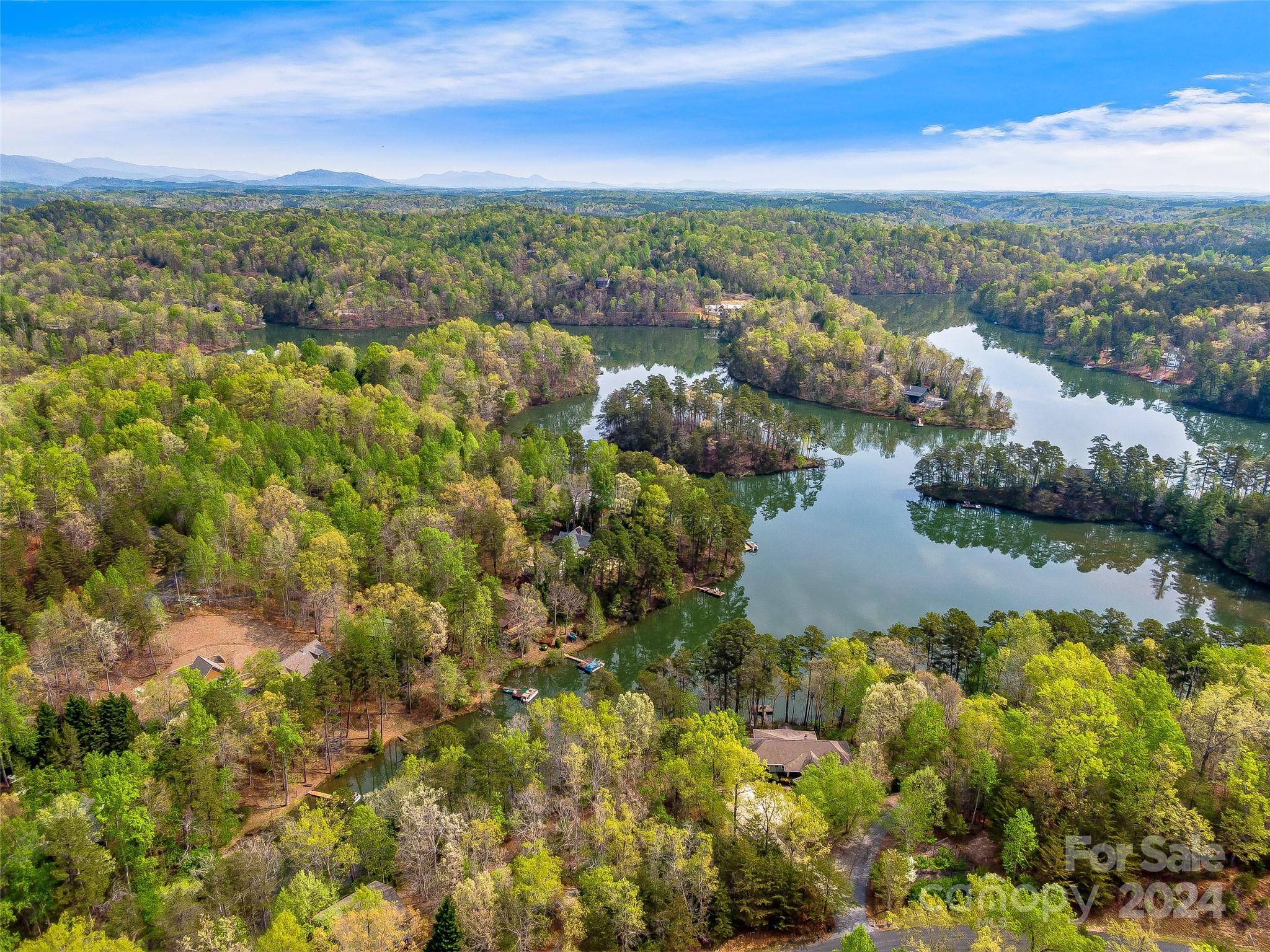 2138 Lake Adger Parkway Mill Spring, NC 28756 - Photo 8 of 44