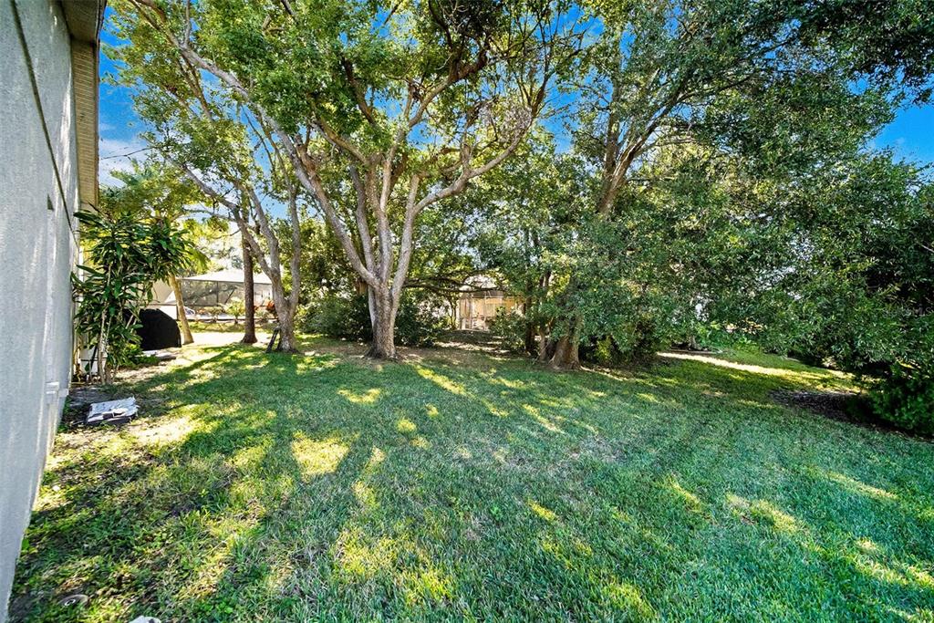13749 Meade Court Hudson, FL 34667 - Photo 29 of 33 a view of a field with a tree