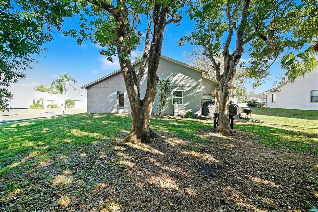 13749 Meade Court Hudson, FL 34667 - Photo 33 of 33 a view of a yard with plants and trees