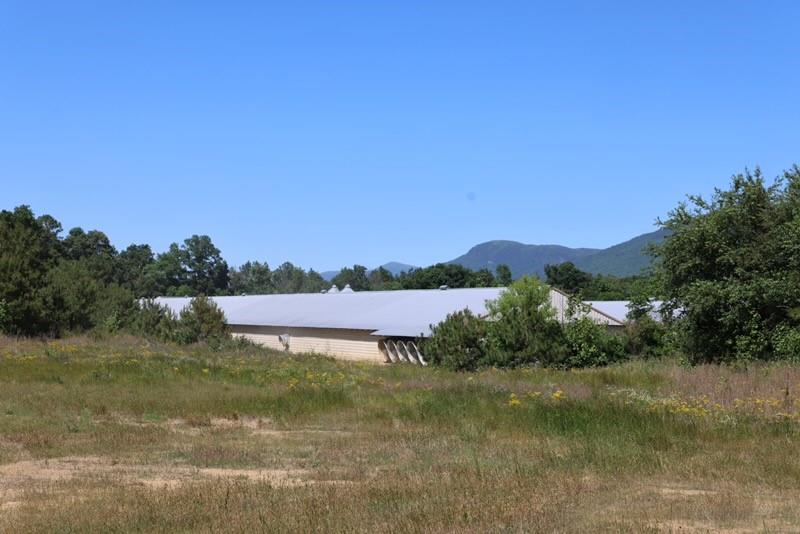 1600 Will Evans Road Chatsworth, GA 30705 - Photo 43 of 79 a view of a lake with a mountain in the background