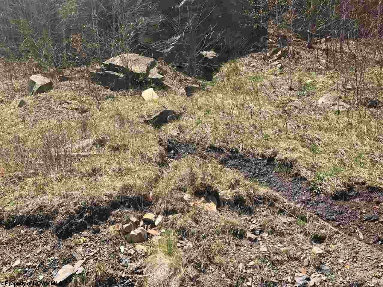 0 Haines Knob Road Harman, WV 26270 - Photo 16 of 20 Gallery Image 16