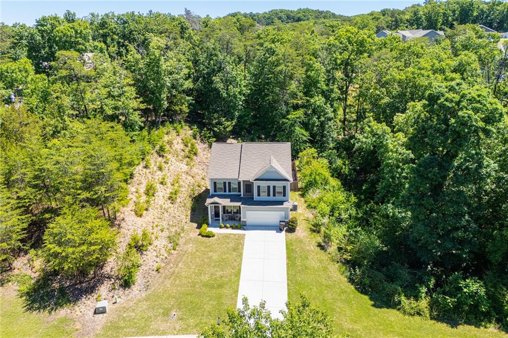 28 Sarah's Hollow Road Rockmart, GA 30153 - Photo 49 of 61