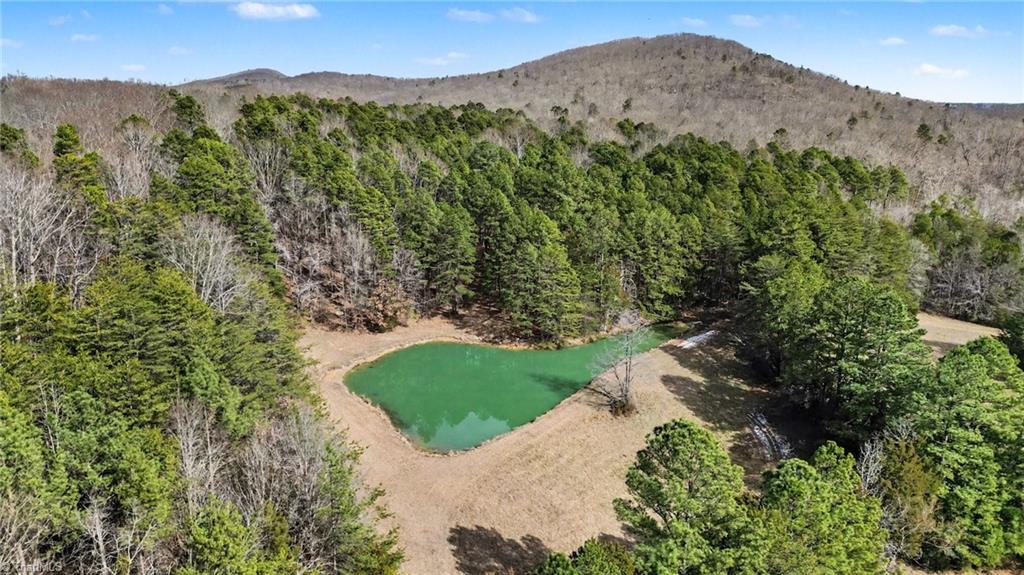 3216 Flat Swamp Road Denton, NC 27239 - Photo 43 of 50 Small Pond