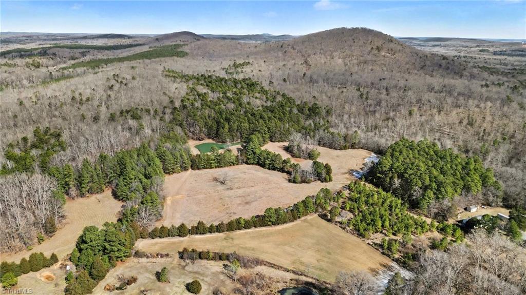 3216 Flat Swamp Road Denton, NC 27239 - Photo 44 of 50 About five acres of cleared land near the pond.