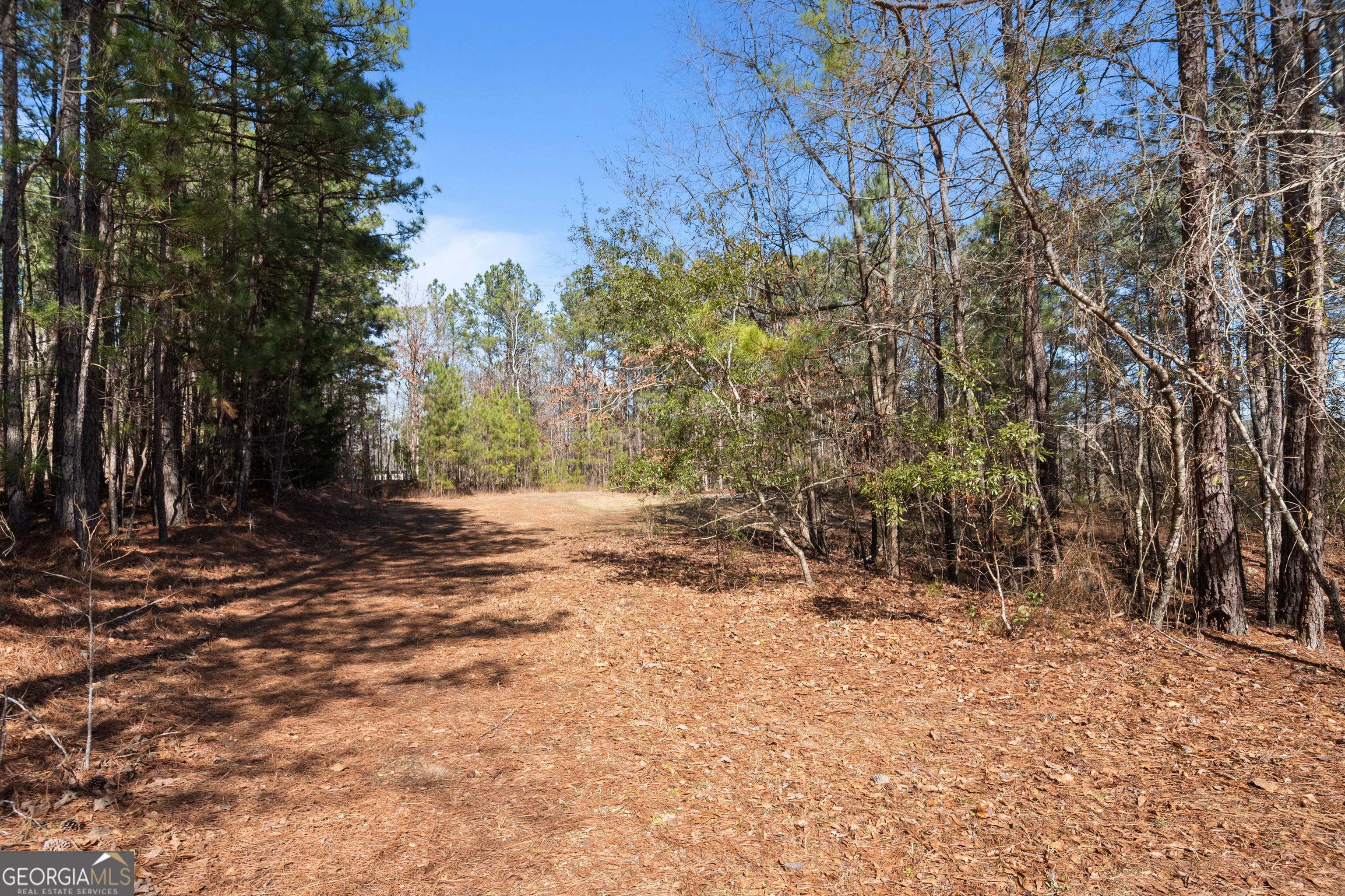 568 Martin Mill Road Moreland, GA 30259 - Photo 62 of 70 a view of dirt yard with a tree