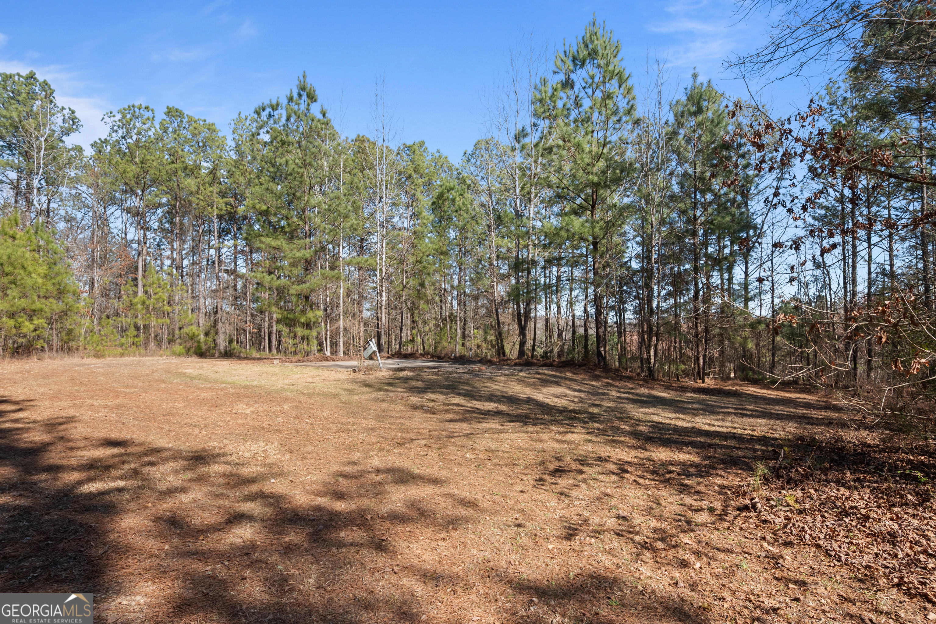 568 Martin Mill Road Moreland, GA 30259 - Photo 63 of 70 a view of dirt yard with a large tree