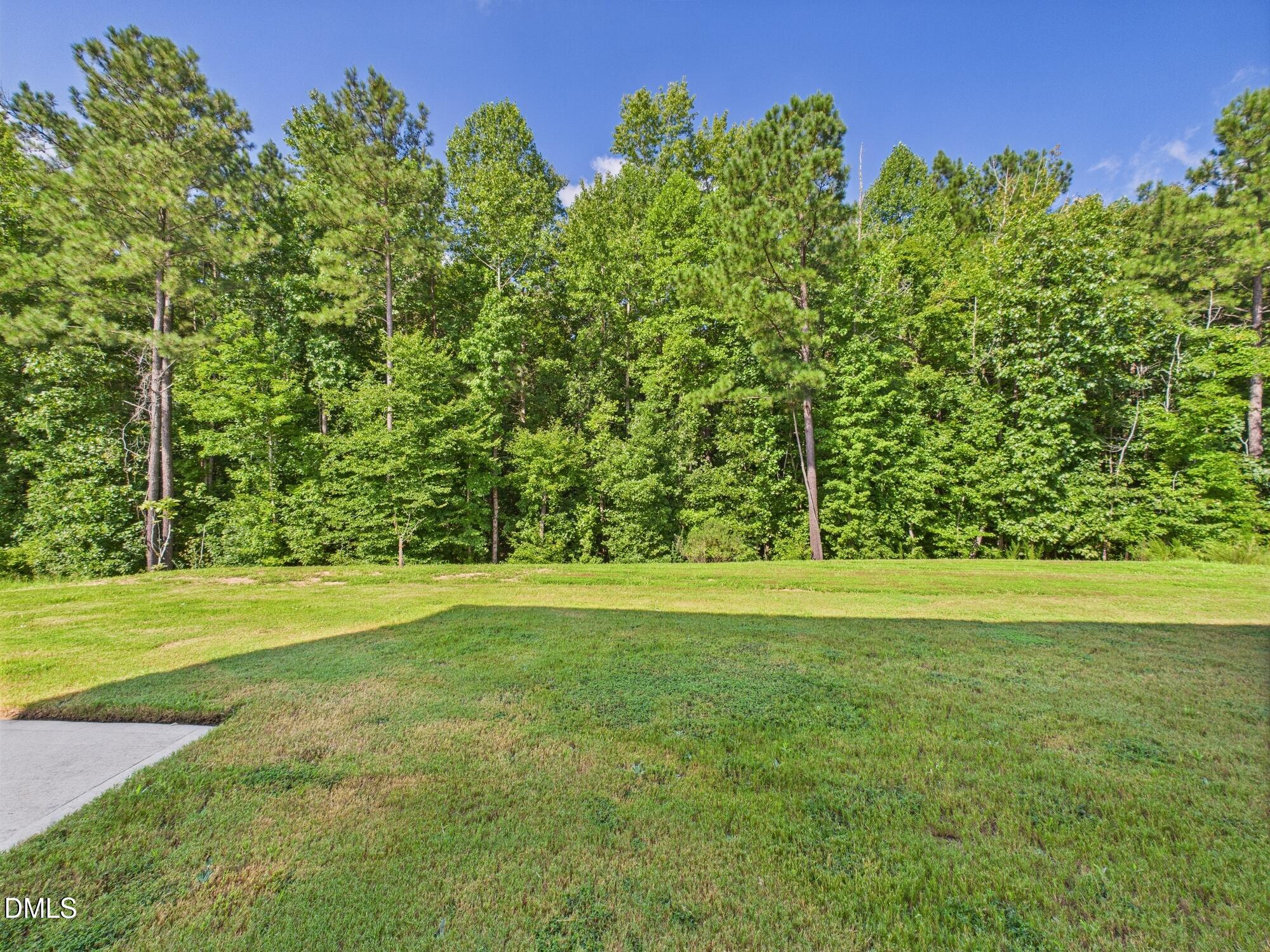 110 Symmetry Loop Youngsville, NC 27596 - Photo 71 of 72 CAM01608G0-PR0104-STILL010