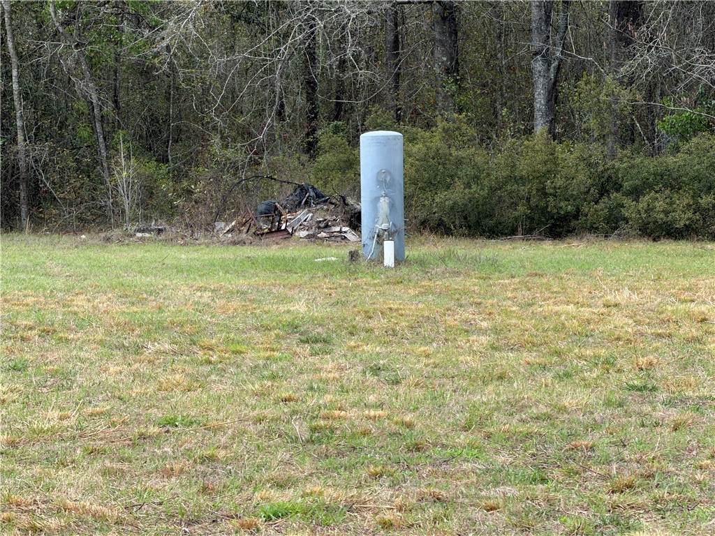 359 Cane Circle Nahunta, GA 31553 - Photo 11 of 12 Well and Sewer on Property
