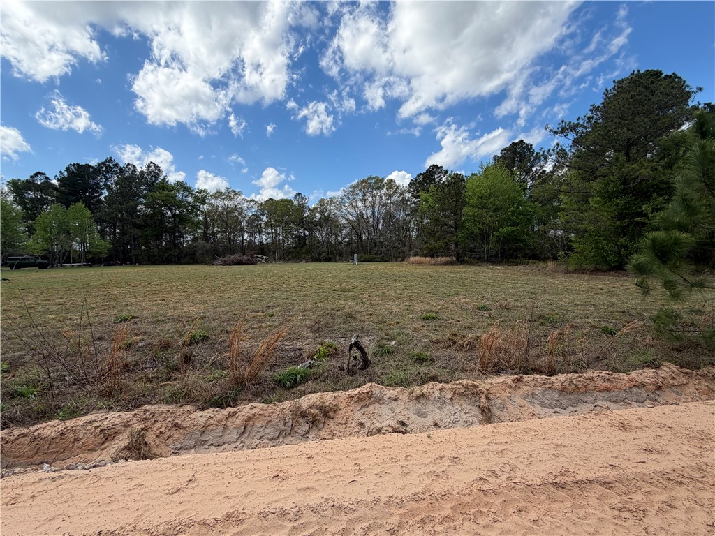 359 Cane Circle Nahunta, GA 31553 - Photo 12 of 12 Road view