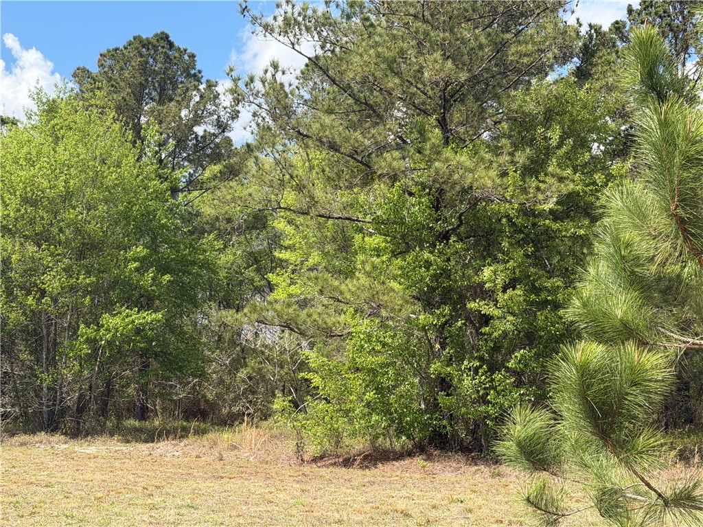 359 Cane Circle Nahunta, GA 31553 - Photo 2 of 12 privacy on right side with tree barrier