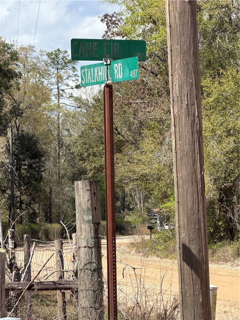 359 Cane Circle Nahunta, GA 31553 - Photo 3 of 12 Street Sign to denote direction to the property