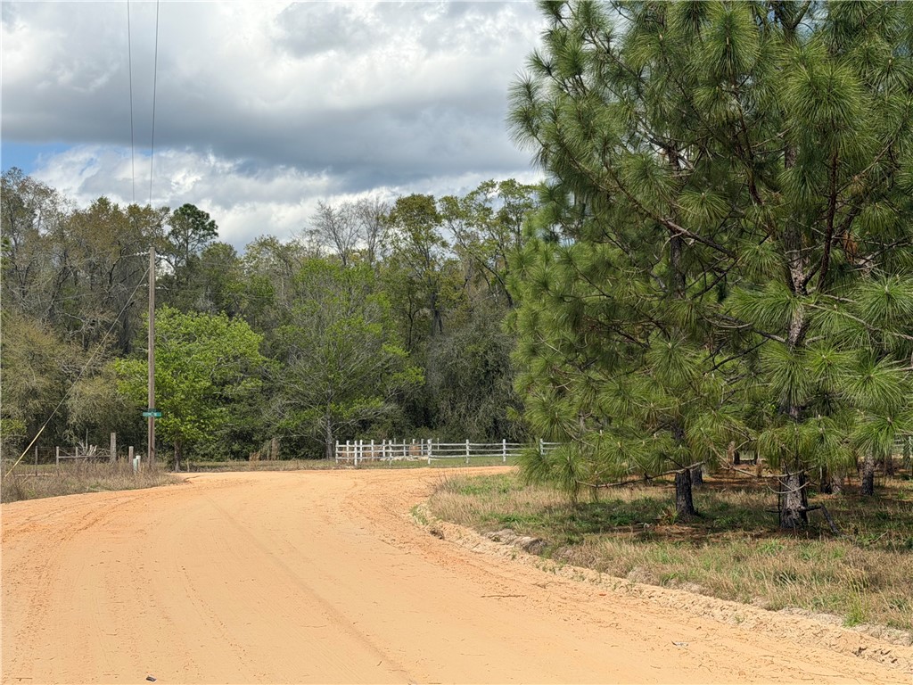 359 Cane Circle Nahunta, GA 31553 - Photo 4 of 12 Street View