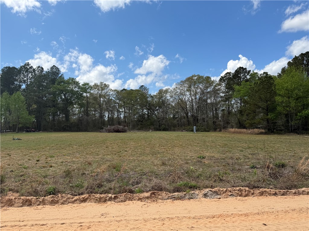 359 Cane Circle Nahunta, GA 31553 - Photo 5 of 12 Another view from road