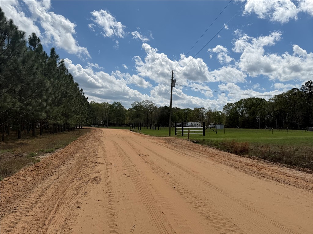 359 Cane Circle Nahunta, GA 31553 - Photo 6 of 12 Street View