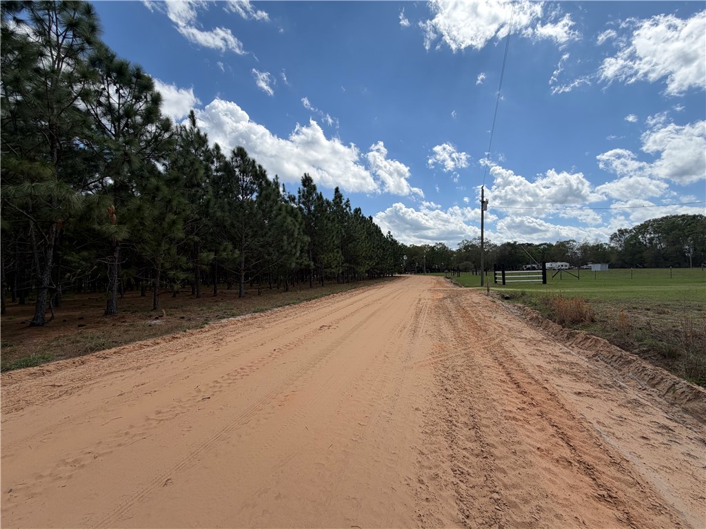 359 Cane Circle Nahunta, GA 31553 - Photo 7 of 12 Street View