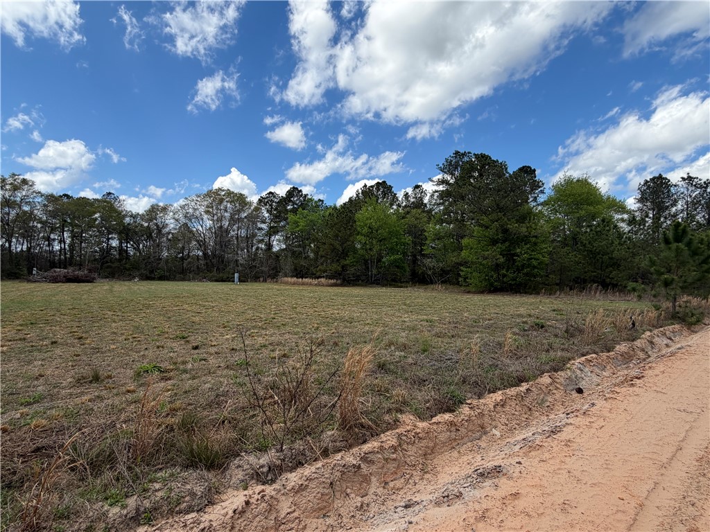 359 Cane Circle Nahunta, GA 31553 - Photo 8 of 12 Street View