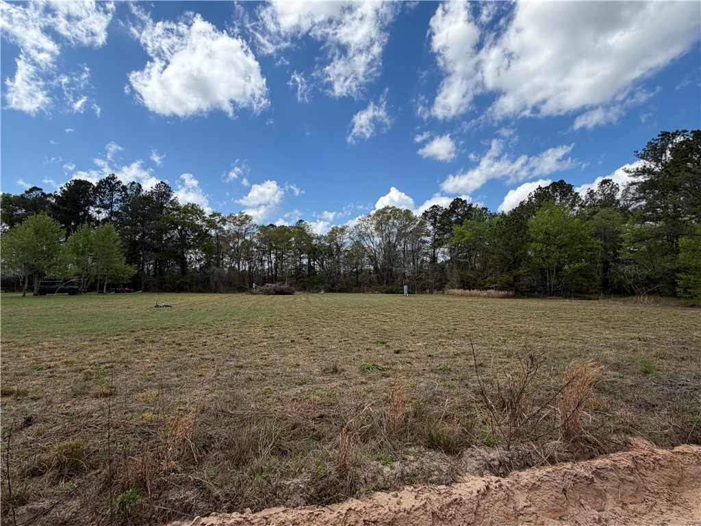 359 Cane Circle Nahunta, GA 31553 - Photo 9 of 12 Lot picture