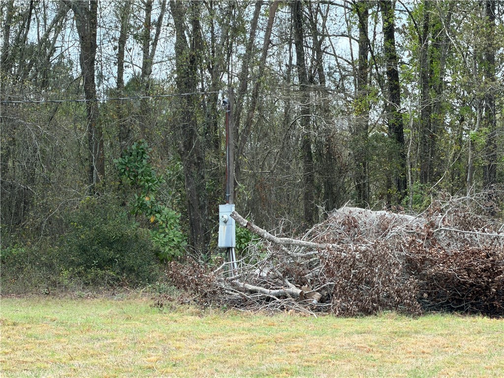 359 Cane Circle Nahunta, GA 31553 - Photo 10 of 12 Land across the road
