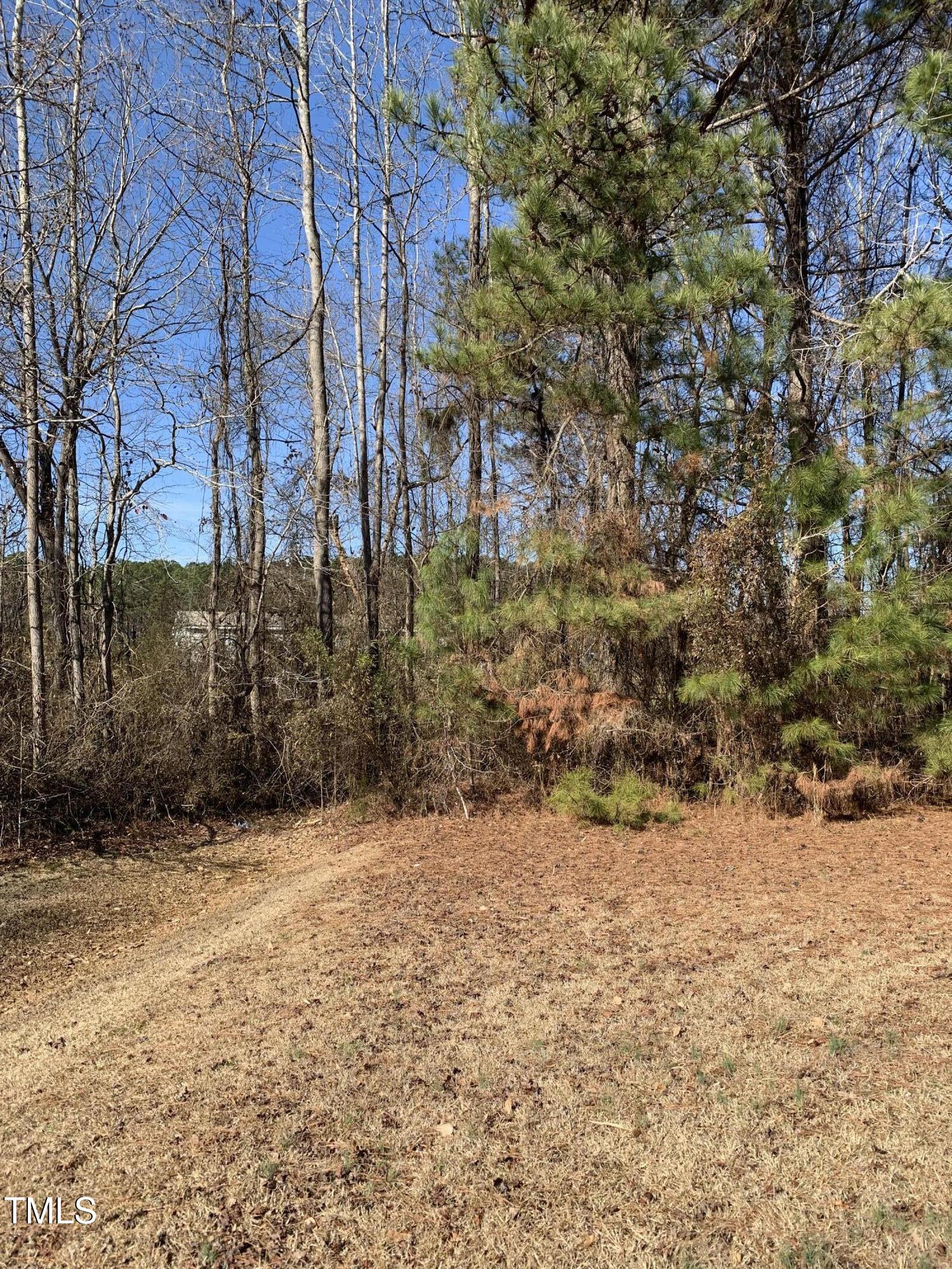 812 A Hood Farm Road Clayton, NC 27520 - Photo 4 of 9 IMG_5360