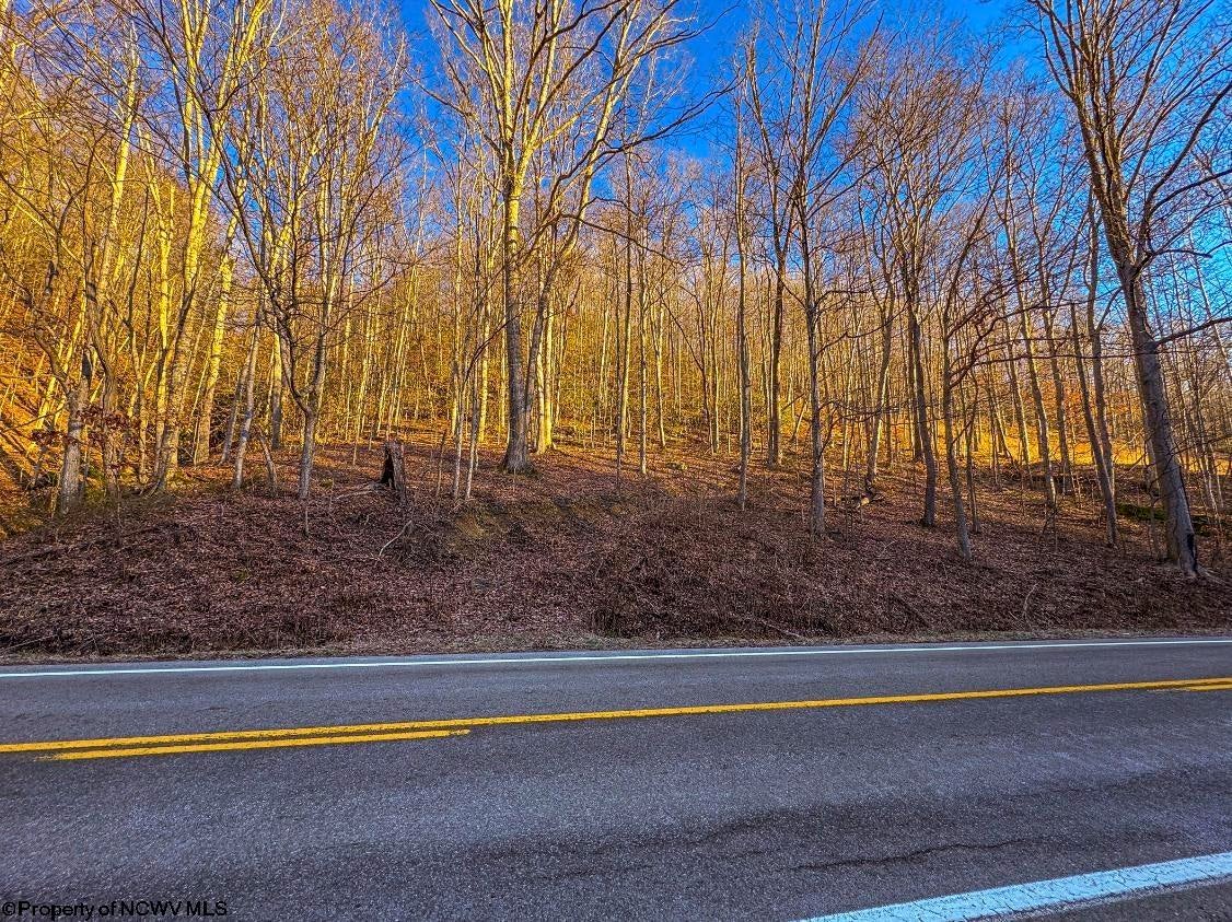 Lot 1 Ivydale Road Clay, WV 25043 - Photo 5 of 12 Gallery Image 5