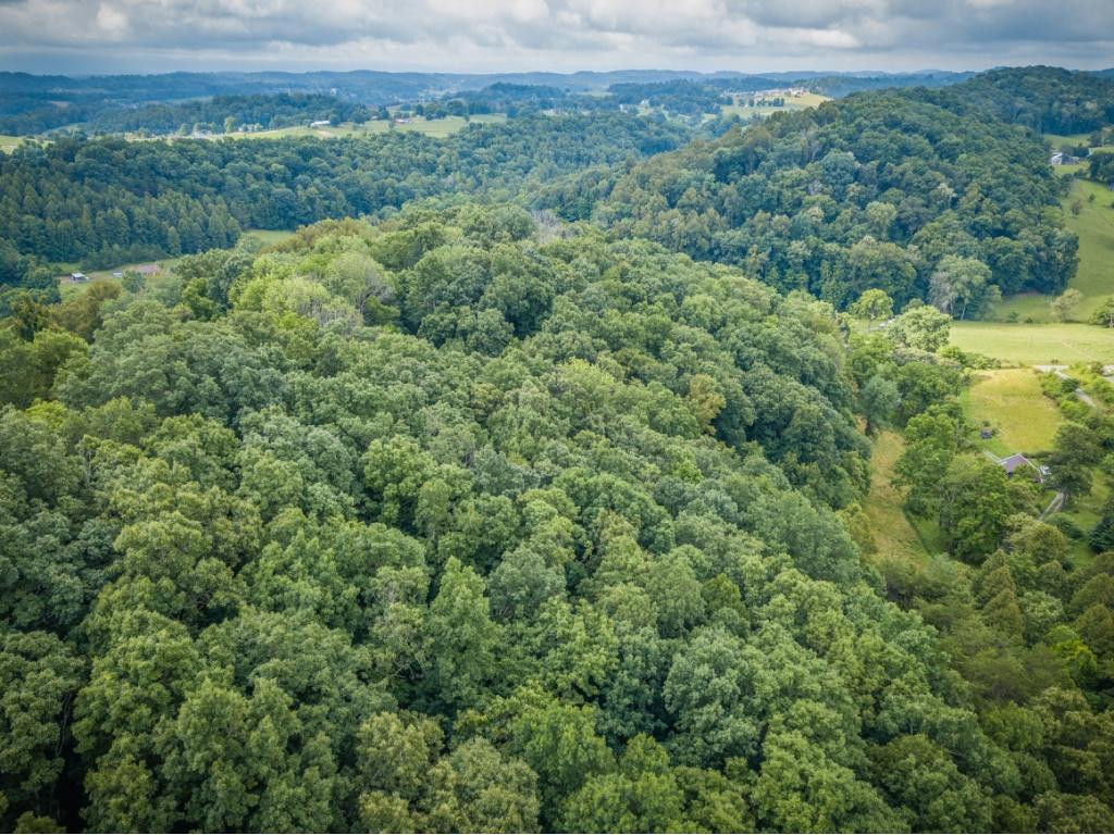 1169 Old Stage Road Gray, TN 37615 - Photo 5 of 16 Photo 5