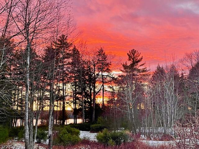 12 Doe Court, Unit 12 Naples, ME 04055 - Photo 13 of 23 IMG_3114